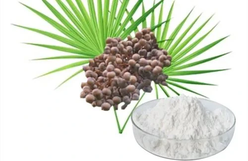 Palmetto Fruit Extract