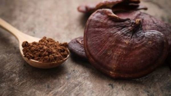 Per a què serveix l'extracte de bolets Reishi?