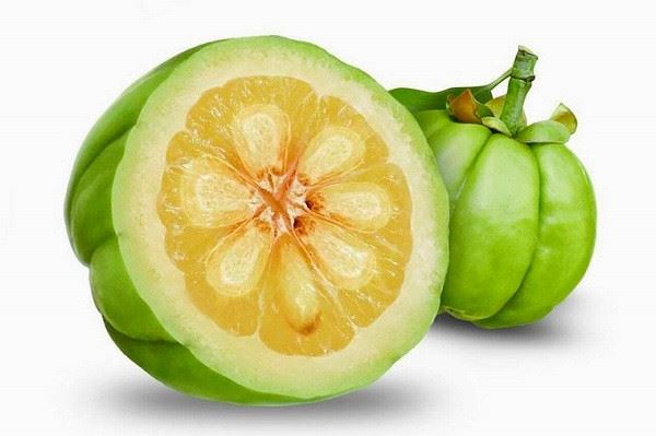 Garcinia Cambogia: fruita sagrada per a la pèrdua de pes
