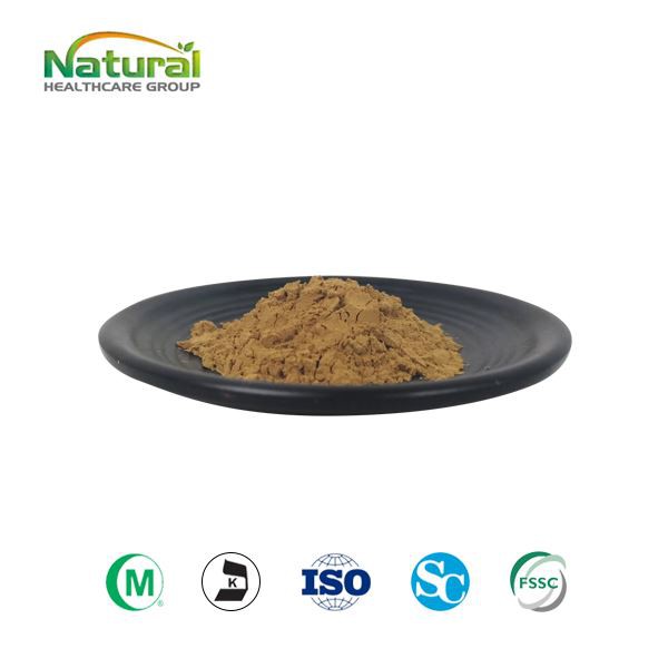 Pols d'extracte d'equinàcia purpurea