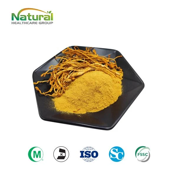 Cordyceps Sinensis en pols