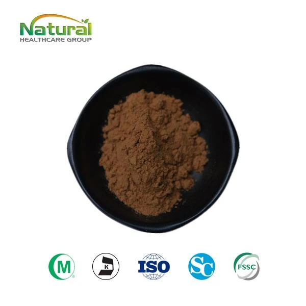Extracte de bolets Cordyceps en pols