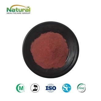 Extracte de salvia en pols