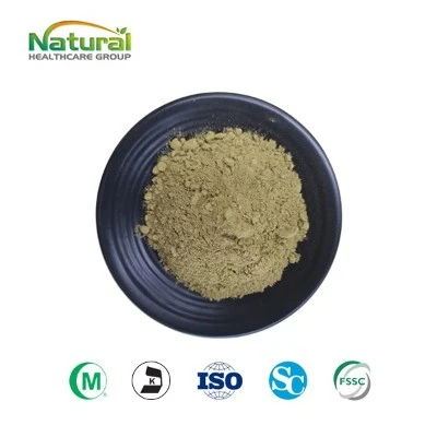 Serra Palmetto en pols