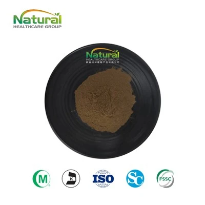 Pols d'extracte de motherwort